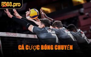 Cá Cược Bóng Chuyền