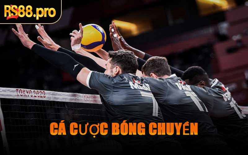Cá Cược Bóng Chuyền