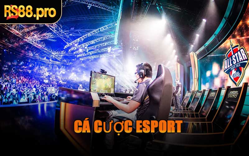 Cá Cược Esport