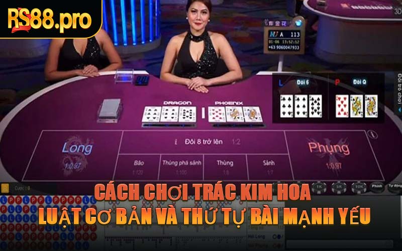 Cách Chơi Trác Kim Hoa – Luật Cơ Bản Và Thứ Tự Bài Mạnh Yếu