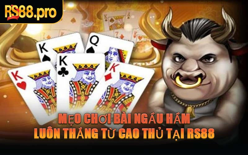 Mẹo Chơi Bài Ngầu Hầm Luôn Thắng Từ Cao Thủ Tại RS88
