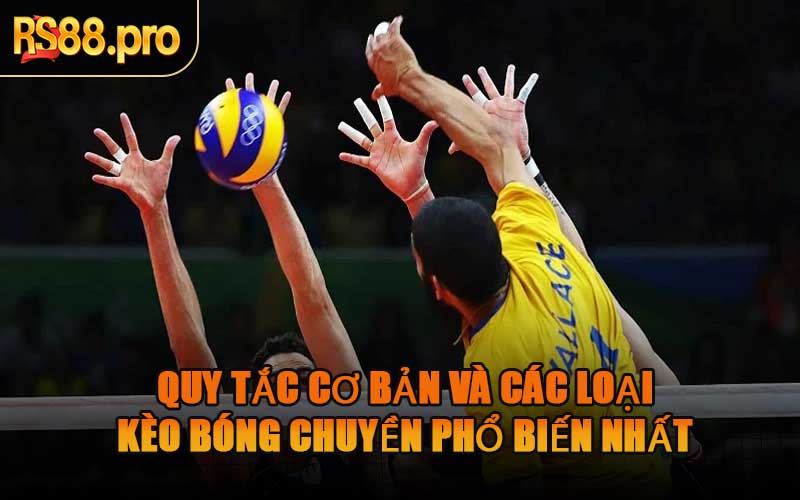 Quy Tắc Cơ Bản Và Các Loại Kèo Bóng Chuyền Phổ Biến Nhất