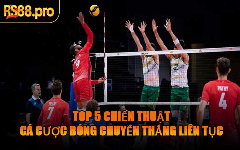 Top 5 Chiến Thuật Cá Cược Bóng Chuyền Thắng Liên Tục