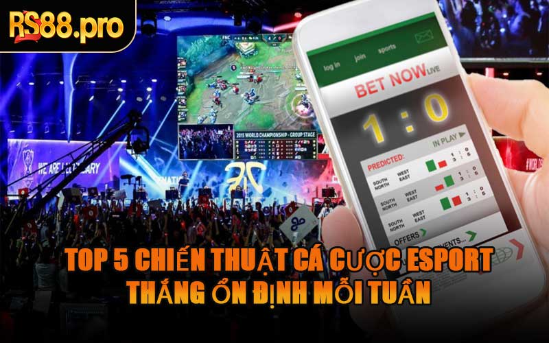 Top 5 Chiến Thuật Cá Cược Esport Thắng Ổn Định Mỗi Tuần