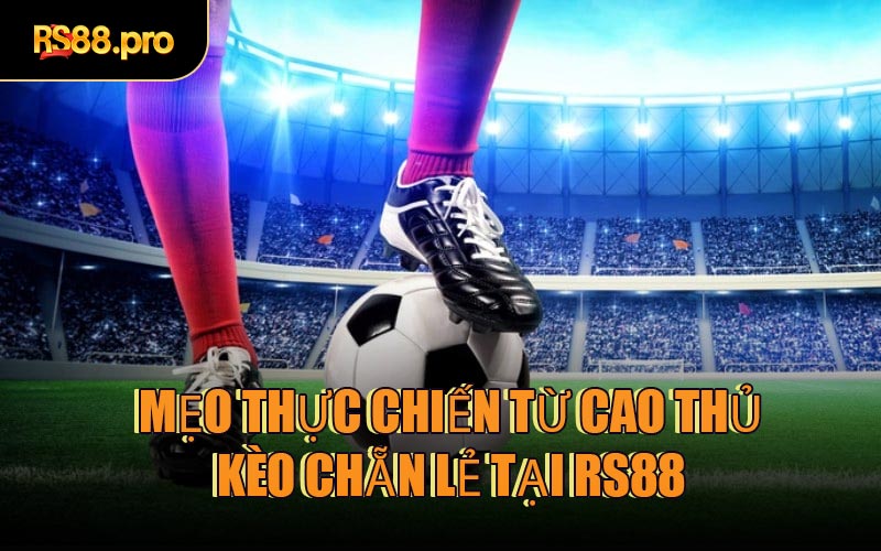 Mẹo thực chiến từ cao thủ kèo Chẵn Lẻ tại RS88