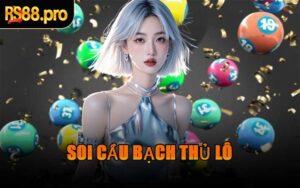 Soi Cầu Bạch Thủ Lô